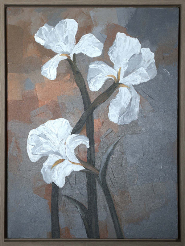 Golden hour Iris 1