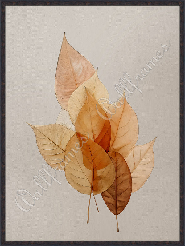 Amber Hues 2