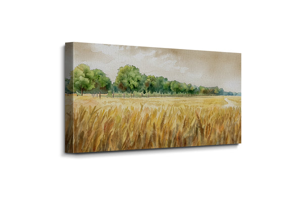 Golden Harvest Field