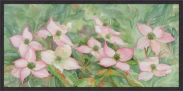 Pink Dogwood Blossoms