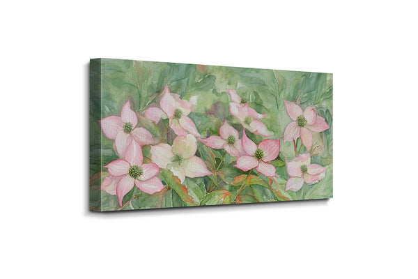Pink Dogwood Blossoms