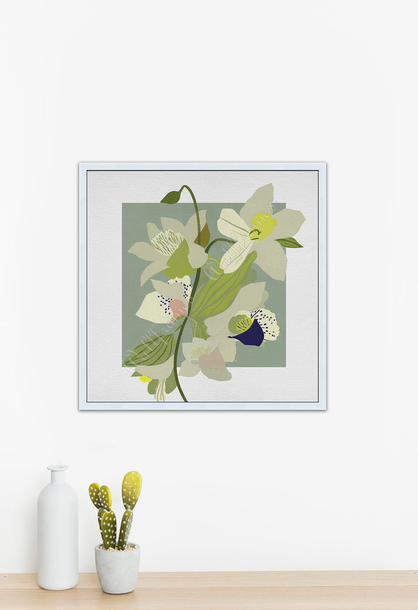 Orchid Sage 1