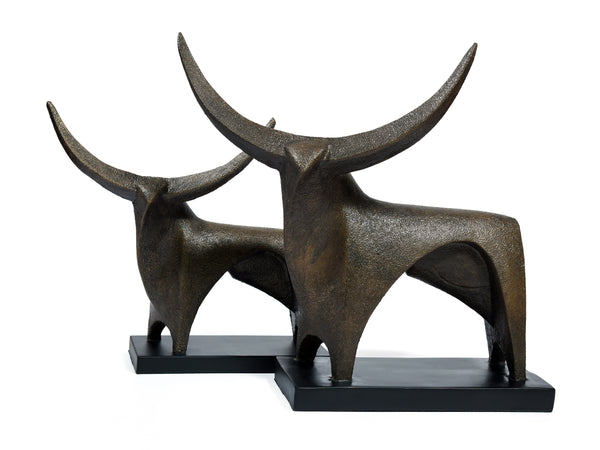 Long Horn ox