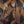 Earthen tones