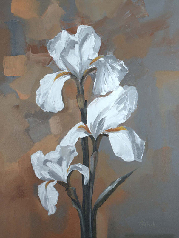 Golden hour Iris 2