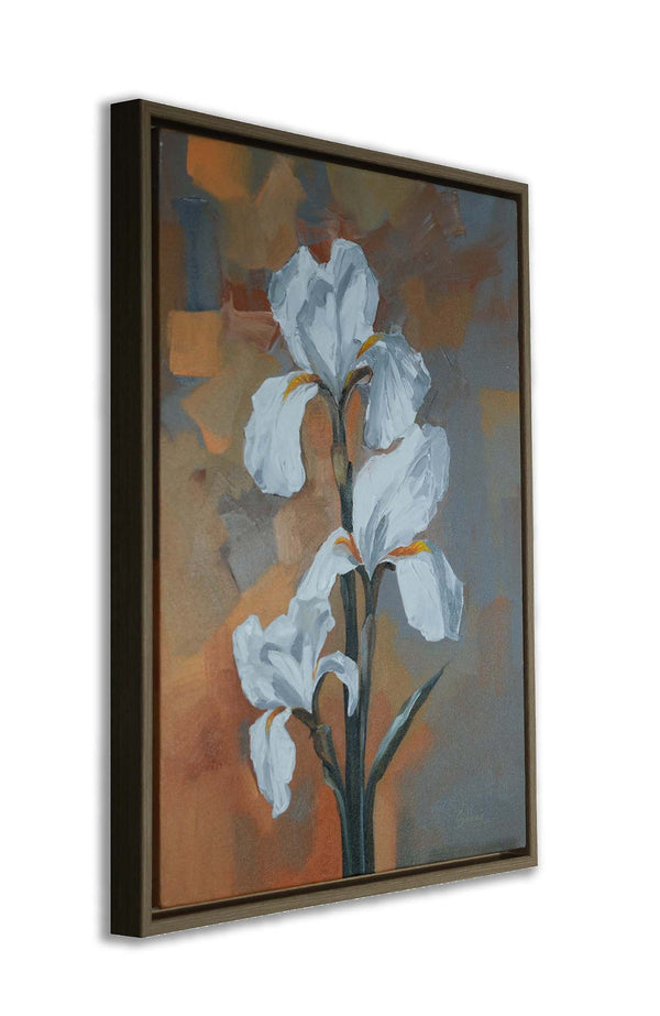 Golden hour Iris 2