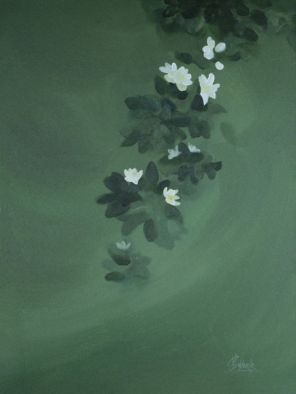 Olive and Blossom 2