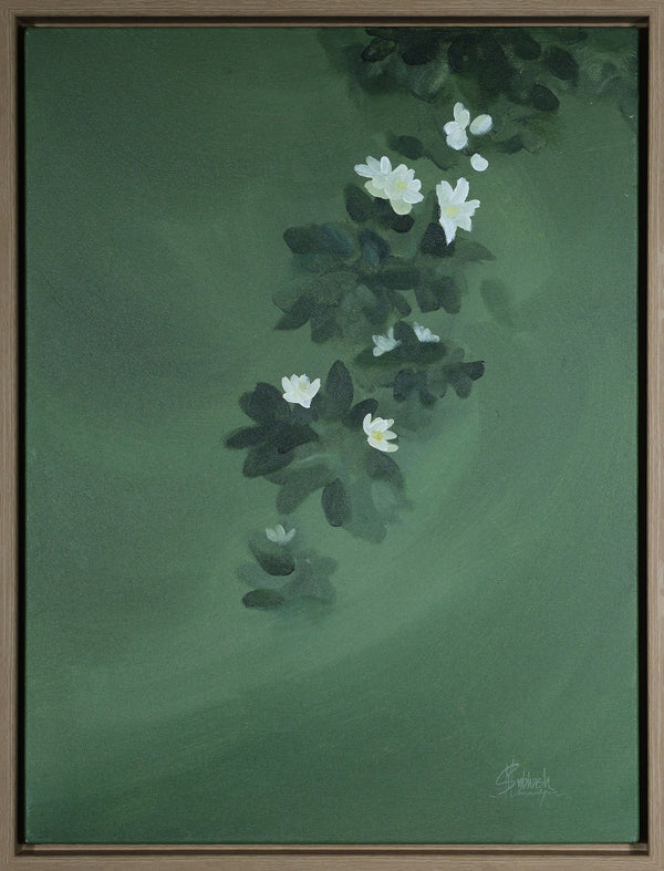 Olive and Blossom 2