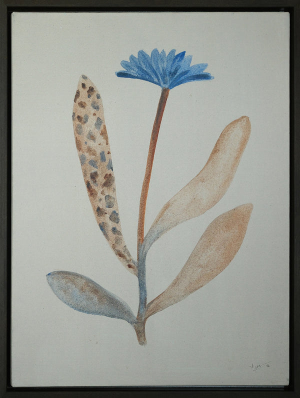 Wild bloom 1