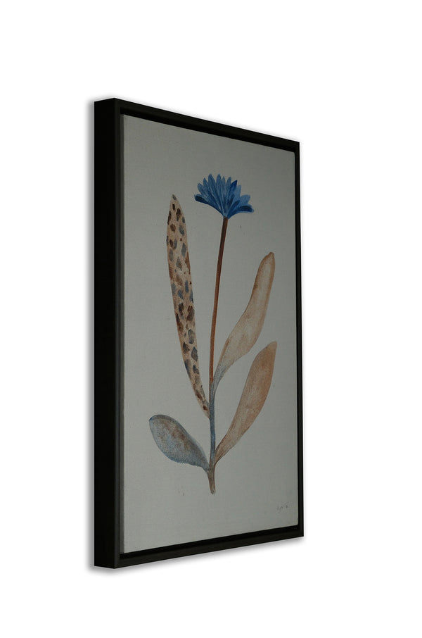 Wild bloom 1