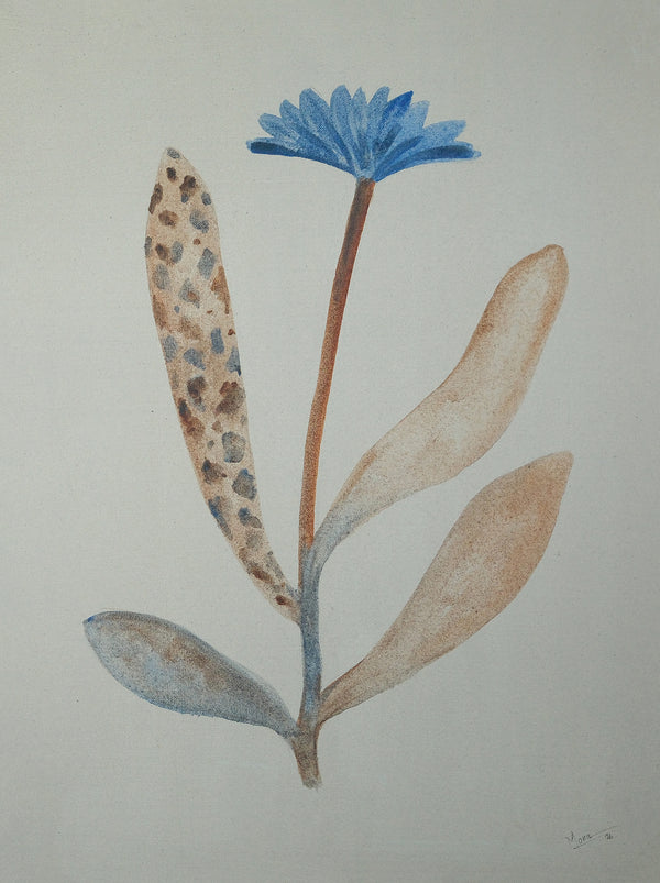 Wild bloom 1