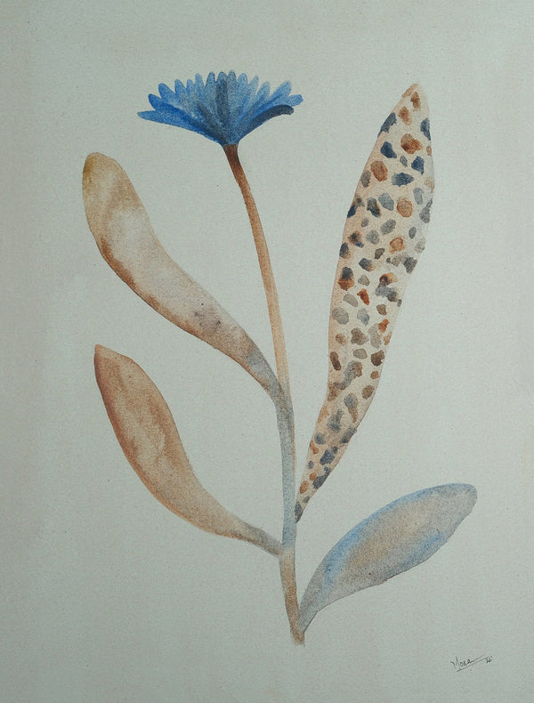 Wild bloom 2