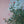 Bloom fragments 1