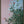 Bloom fragments 1