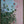 Bloom fragments 2
