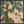Expressive foliage 1