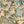 Expressive foliage 2
