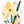 Luminous yellow Bloom 1