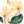 Luminous yellow Bloom 2