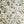Botanical Lace 1