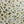 Botanical Lace 2