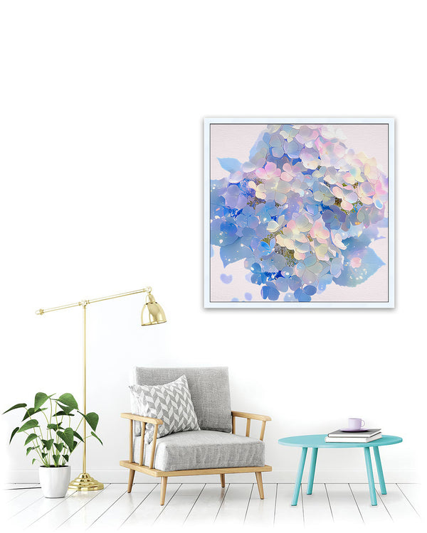 Hydrangea blooms 1