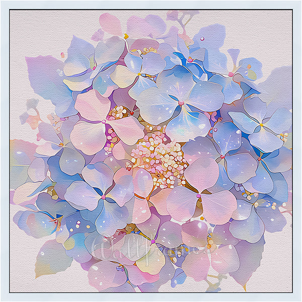 Hydrangea blooms 2