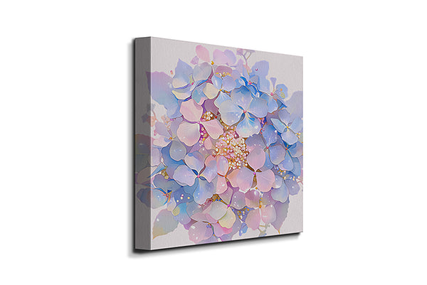 Hydrangea blooms 2