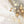 Ethereal Botanicals 1
