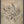 Muted Botanical Elegance 2