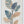Nordic Leaf Study 1
