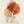 Rustic Petal Layers 1