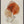 Rustic Petal Layers 1