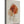 Rustic Petal Layers 1