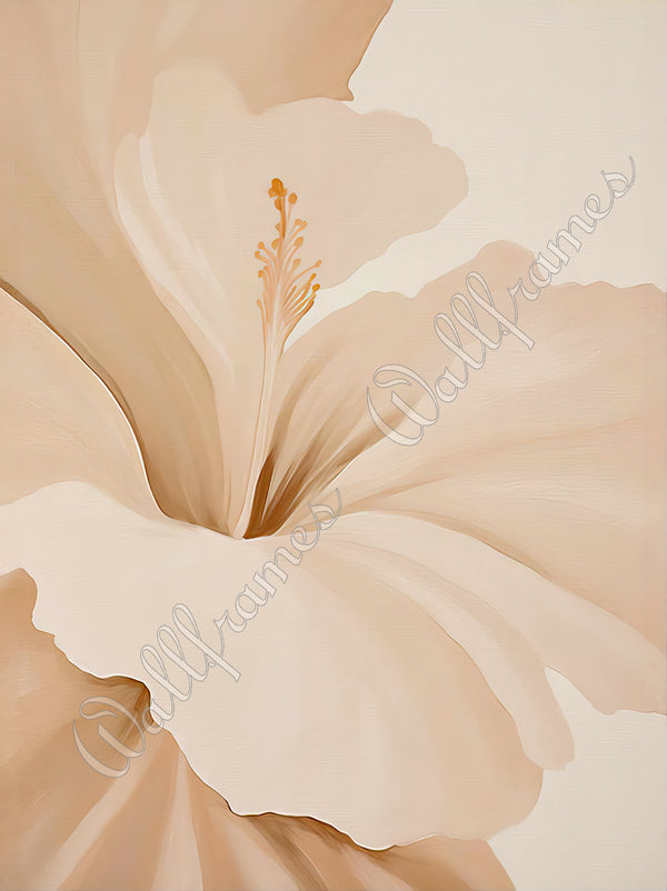 Creamy Hibiscus Dream 1