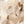 Earthbound Expression 4