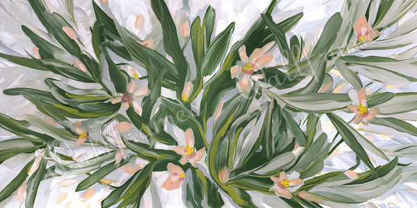 Olive Grove