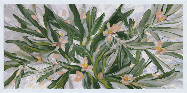 Olive Grove