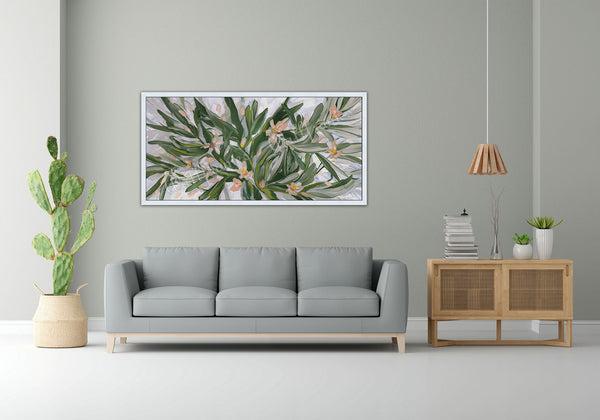 Olive Grove