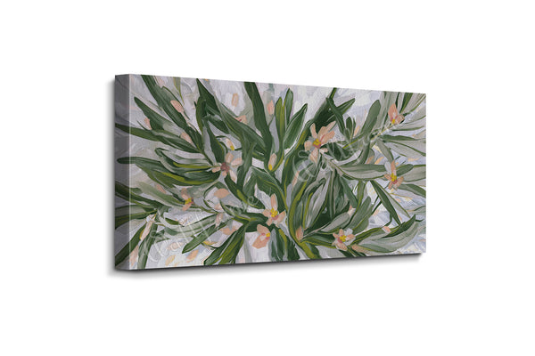 Olive Grove