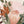 Blush & Botanical