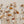 Meadow Botanicals