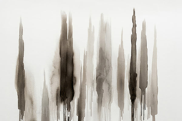 Mistwood Silhouettes