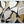 Geometric Botanical Forms