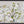Wildflower Veil