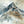 Alpine Majesty
