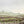 Misty Meadow