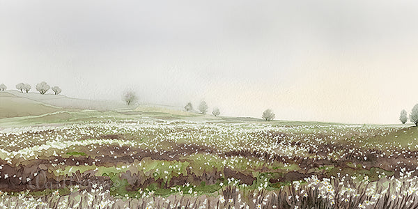 Misty Meadow