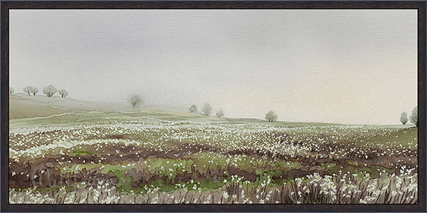 Misty Meadow