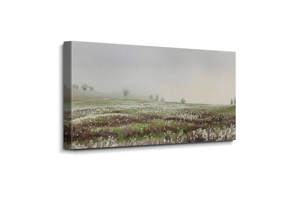 Misty Meadow